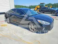 2019 Hyundai Sonata фото