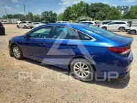 2019 Hyundai Sonata photo