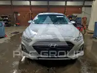 2019 Hyundai Sonata фото