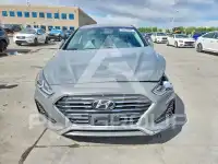 2019 Hyundai Sonata photo