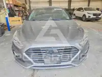 2019 Hyundai Sonata photo