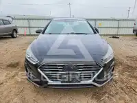 2019 Hyundai Sonata фото