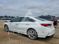 2019 Hyundai Sonata фото