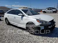 2019 Hyundai Sonata фото