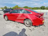 2019 Hyundai Sonata photo