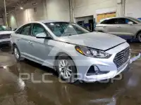 2019 Hyundai Sonata photo