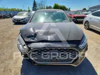 2019 Hyundai Sonata photo