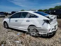 2019 Hyundai Sonata photo