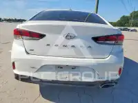 2019 Hyundai Sonata фото