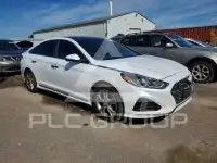 2019 Hyundai Sonata photo