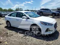 2019 Hyundai Sonata photo