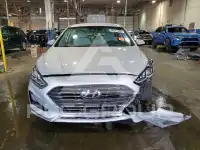 2019 Hyundai Sonata photo