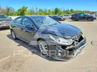 2019 Hyundai Sonata фото