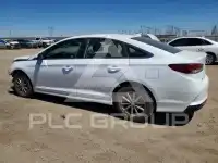 2019 Hyundai Sonata photo