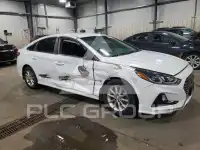 2019 Hyundai Sonata фото