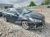 2019 Hyundai Sonata фото
