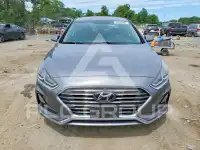 2019 Hyundai Sonata photo