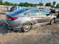 2019 Hyundai Sonata фото
