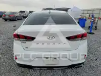 2019 Hyundai Sonata фото