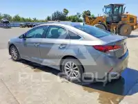 2019 Hyundai Sonata фото