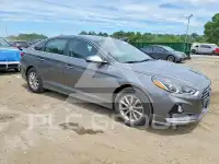 2019 Hyundai Sonata photo
