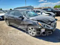 2019 Hyundai Sonata photo