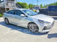 2019 Hyundai Sonata фото