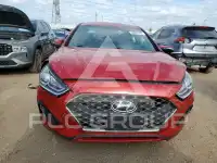 2019 Hyundai Sonata фото