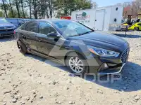 2019 Hyundai Sonata фото