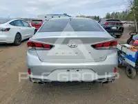 2019 Hyundai Sonata фото