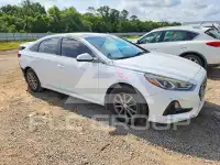 2019 Hyundai Sonata фото