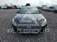 2019 Hyundai Sonata photo