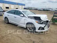 2019 Hyundai Sonata фото