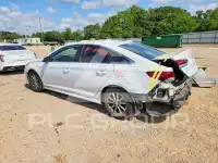 2019 Hyundai Sonata фото