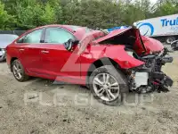 2019 Hyundai Sonata фото