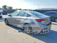 2019 Hyundai Sonata фото