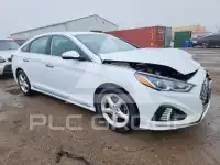 2019 Hyundai Sonata фото