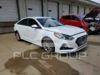 2019 Hyundai Sonata photo