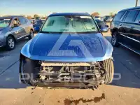 2019 Volkswagen Tiguan фото