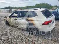 2019 Volkswagen Tiguan photo