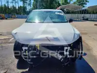 2019 Volkswagen Tiguan фото