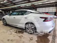 2020 Nissan MAXIMA фото