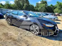 2020 Nissan MAXIMA photo
