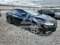 2020 Nissan MAXIMA фото