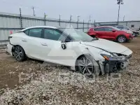 2020 Nissan MAXIMA фото