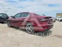 2020 Nissan MAXIMA photo