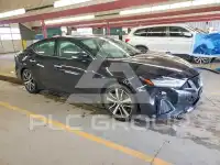 2020 Nissan MAXIMA фото