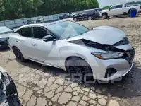 2020 Nissan MAXIMA photo