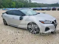 2020 Nissan MAXIMA photo