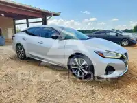 2020 Nissan MAXIMA photo